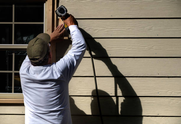 Best Siding Painting and Refinishing  in Harlem, FL